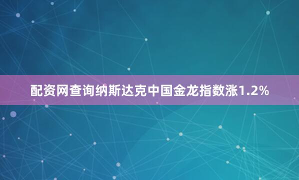 配资网查询纳斯达克中国金龙指数涨1.2%