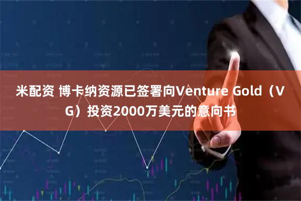米配资 博卡纳资源已签署向Venture Gold（VG）投资2000万美元的意向书