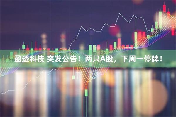 盈透科技 突发公告！两只A股，下周一停牌！