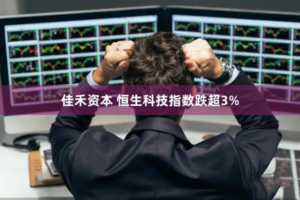 佳禾资本 恒生科技指数跌超3%