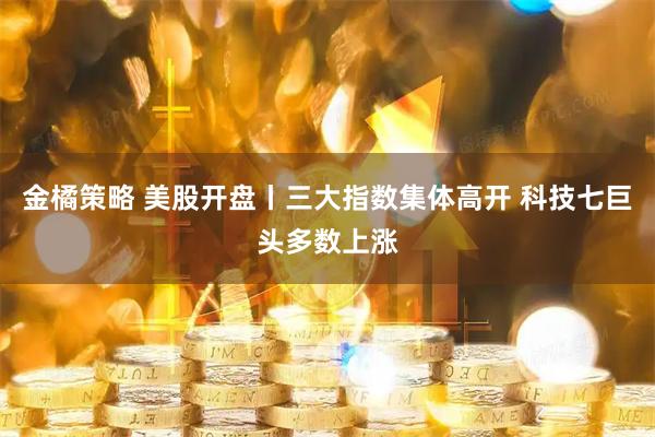 金橘策略 美股开盘丨三大指数集体高开 科技七巨头多数上涨