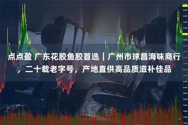 点点盈 广东花胶鱼胶首选｜广州市球昌海味商行，二十载老字号，产地直供高品质滋补佳品