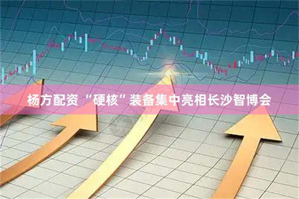 杨方配资 “硬核”装备集中亮相长沙智博会